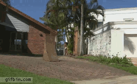 ramp jump fail, gif, ouch