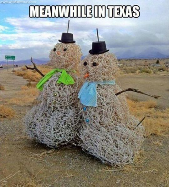 meanwhile in texas, tumbleweed snowmen, meme