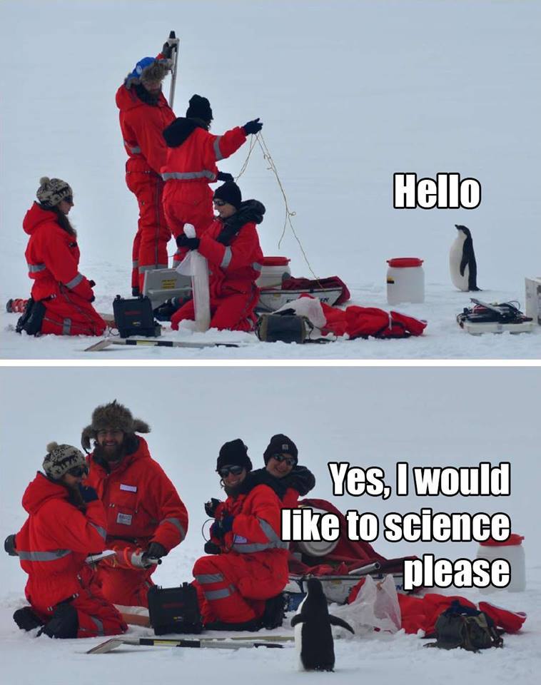 hello, i would like to science please, penguin, antartica