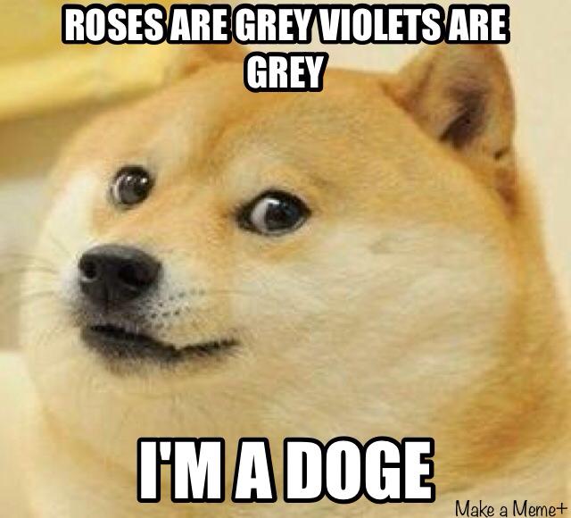 roses are grey violets are grey, i'm a doge, meme