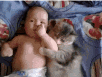 cute baby and cat cuddling, gif