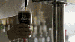 serving a guinness, gif