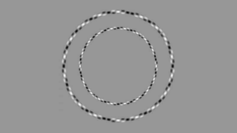 these obviously irregular rings are actually perfectly round circles