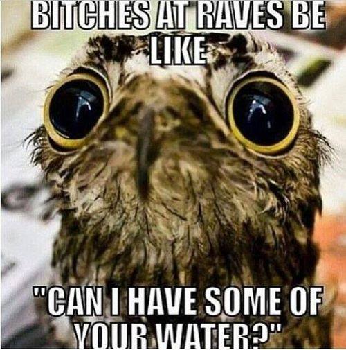 bitches at raves be like "can i have some of your water?"