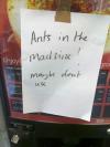 coffee machine, ants in the machine! maybe don't use, sign