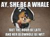 ay she be a whlale but the hour be late and her blowhole be wet, meme, dog