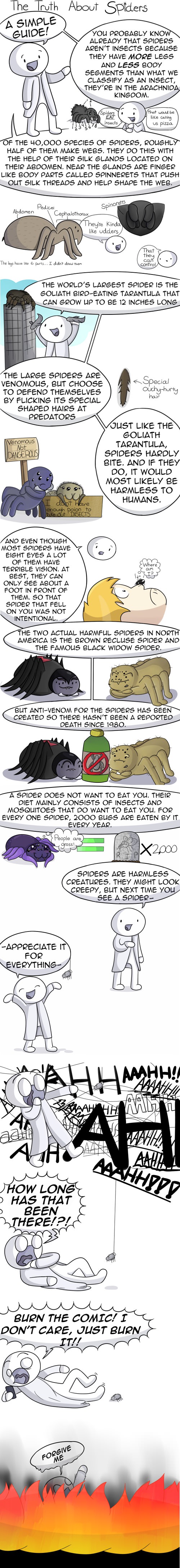 the truth about spiders, comic
