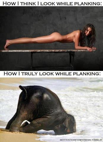 how i think i look while planking, expectation, reality