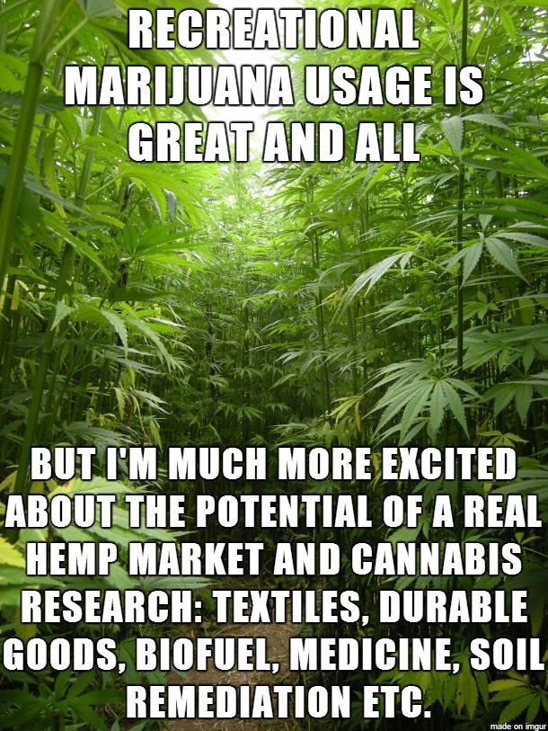 recreational marijuana usage is great and all but i am much more excited about the potential of a real hemp market and cannabis research