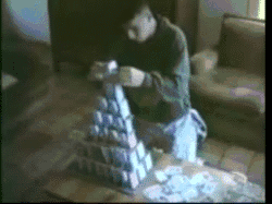 scumbag cat, gif, castle of playing cards destroyed
