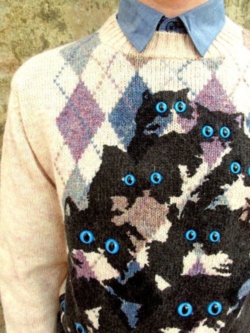 cat sweater, poorly dressed