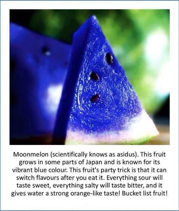 moonmelon, fruit