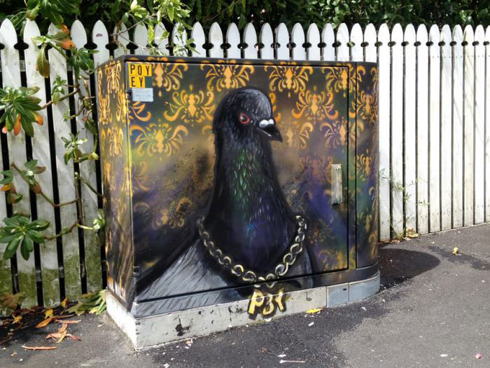 street art, pigeon with bling