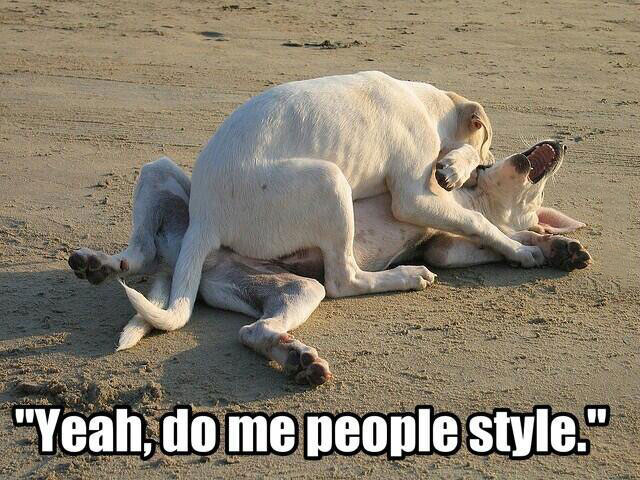 yeah, do me people style, dogs, meme