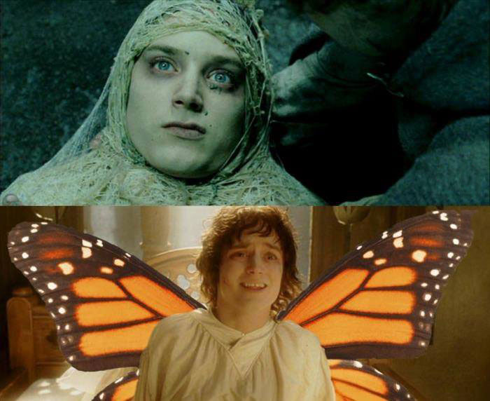 lotr, frodo, butterfly, cocoon