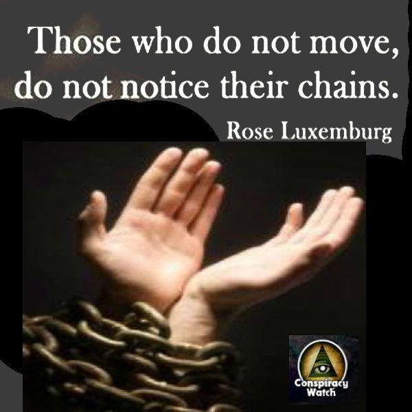 those who do not move do not notice their chains, quote, rose luxemburg