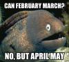can february march? no but april may, bad joke eel, meme