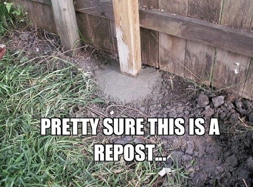 meme, pretty sure this is a repost