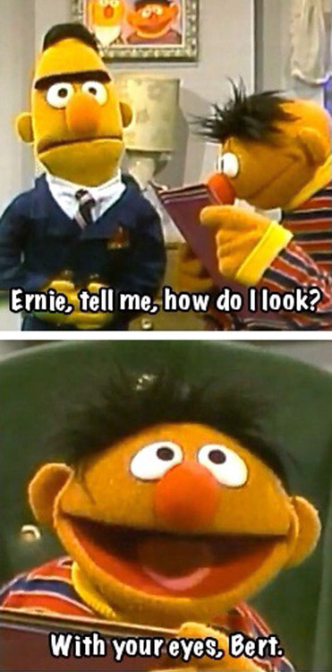 ernie and bert, how do i look?, with your eyes, lame joke, lol