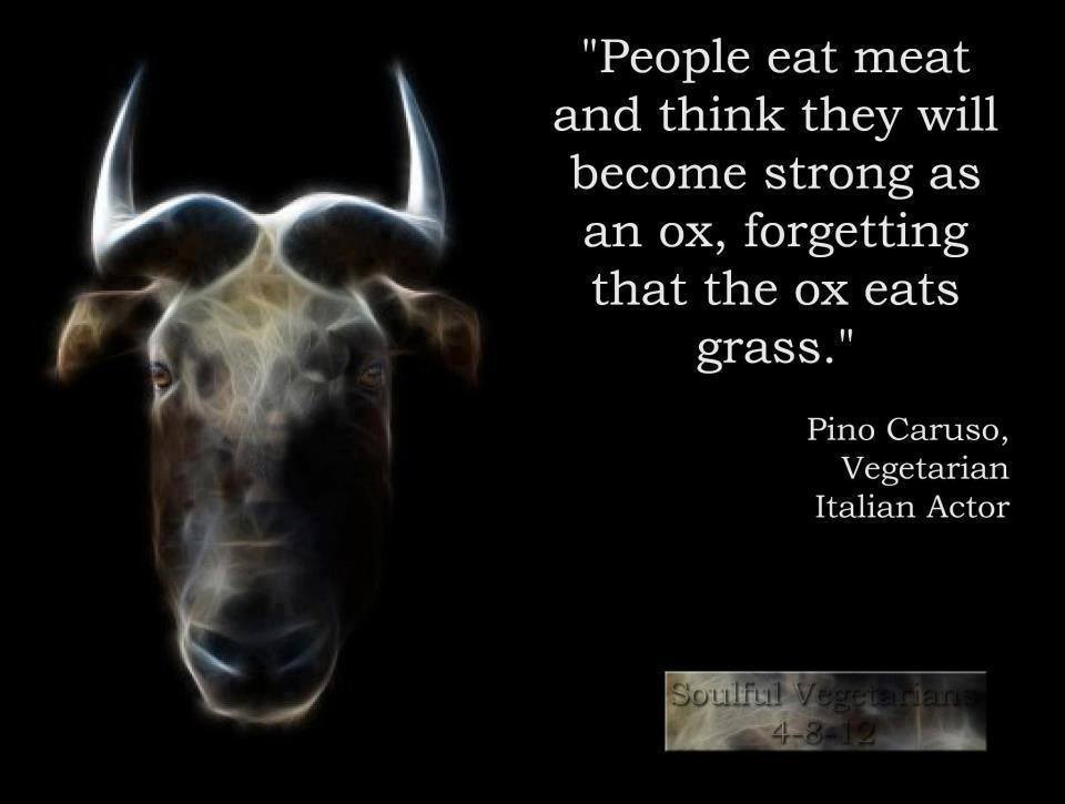 people eat meat expecting to be as strong as the ox, they forget that the ox eats grass
