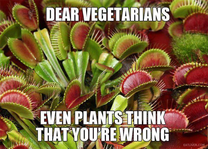 dear vegetarians even plants think you are wrong, meme, venus fly trap