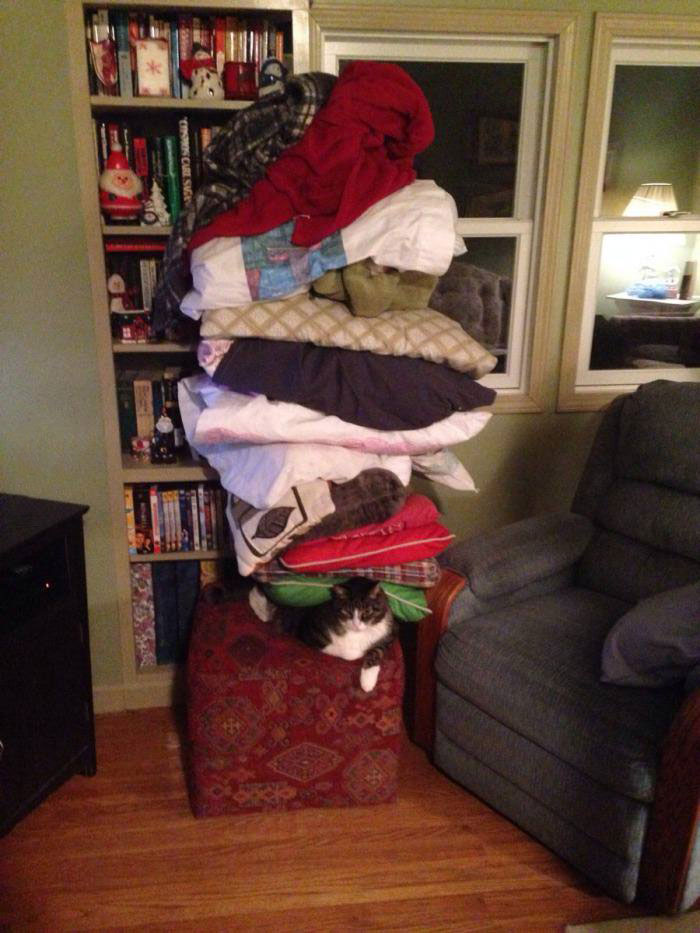more proof that cats just don't give a fuck stack, stacks of pillows and blankets on top of cat, lol