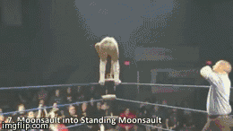 wrestling, double back flip, moonsault into standing moonsault, gif