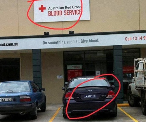 blood service, american red cross, car vanity plate, vampyr