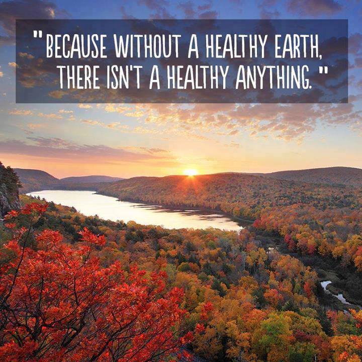because without a healthy earth there is not a healthy anything, quote, environment