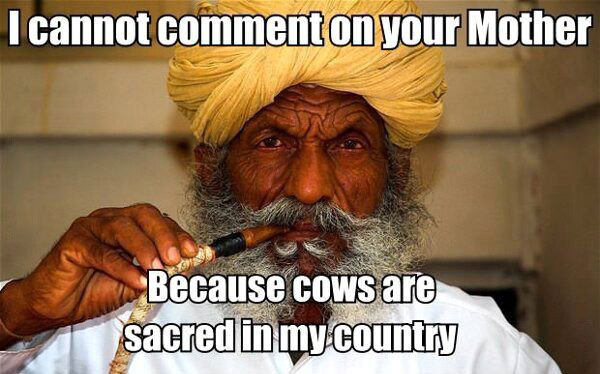 i cannot comment on your mother because cows are sacred in my country, meme, diss