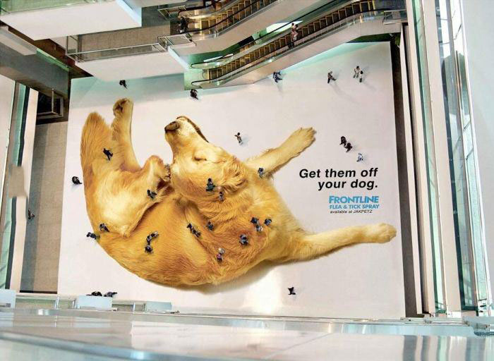 clever advertising, dog, flees, mall floor