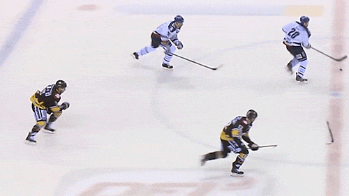 stick pass, gif, hockey, win