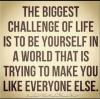 the biggest challenge of life is to be yourself in a world that is trying to make you like everyone else