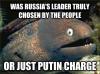 bad pun fish, was russia's leader truly chosen by the people or just putin charge