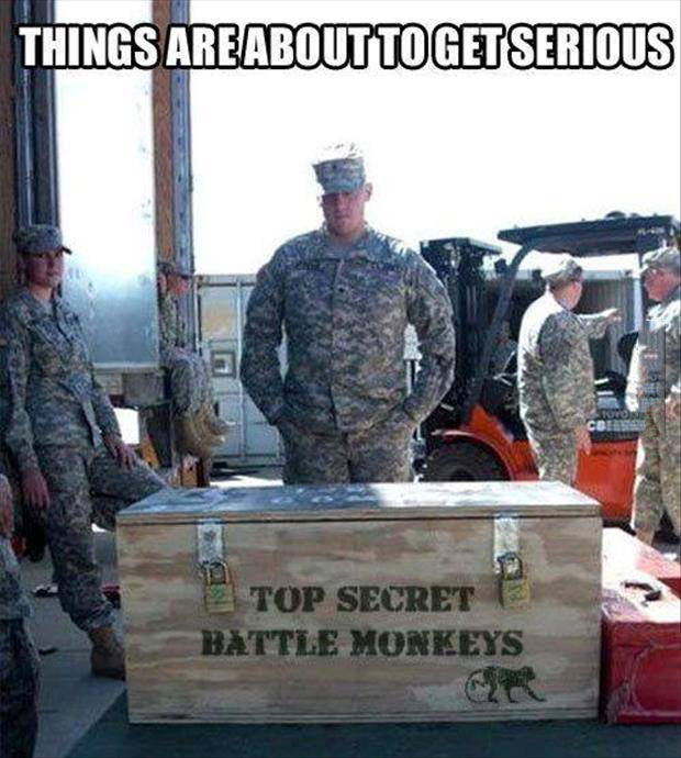 things are about to get serious, top secret battle monkeys, meme