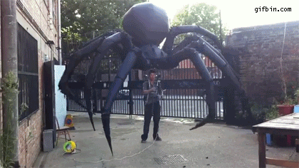 giant spider puppet, wtf, gif