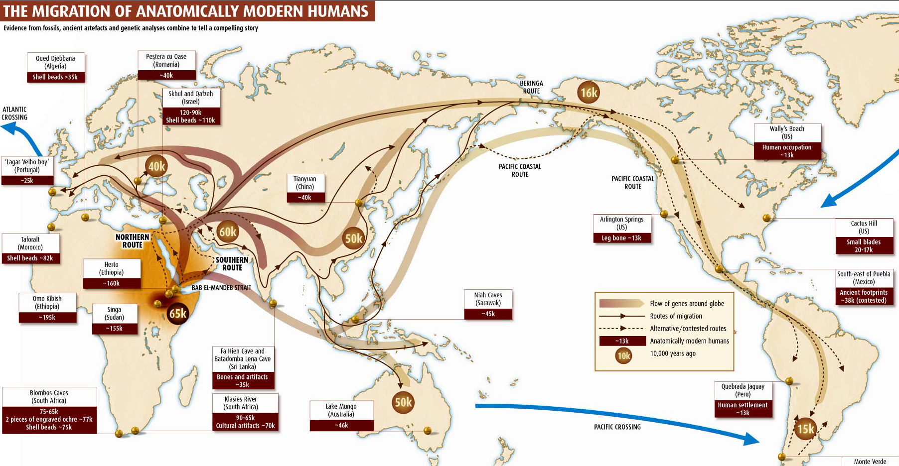 Humans maps. Human Migration. Human Migration Genetics. World Migration Map. Migration of first Humans.