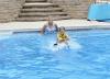 little girl water skiing in the pool gets hit by dog, gif, ouch, random
