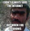 i don't always surf the internet but when i do eyebrows, meme, unibrow