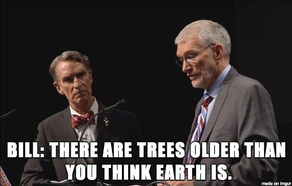billy nye, there are trees older than you think the earth is