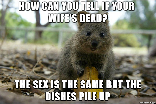 how can you tell if your wife's dead, the sex is the same but the dishes pile up, bad taste joke squirrel, meme