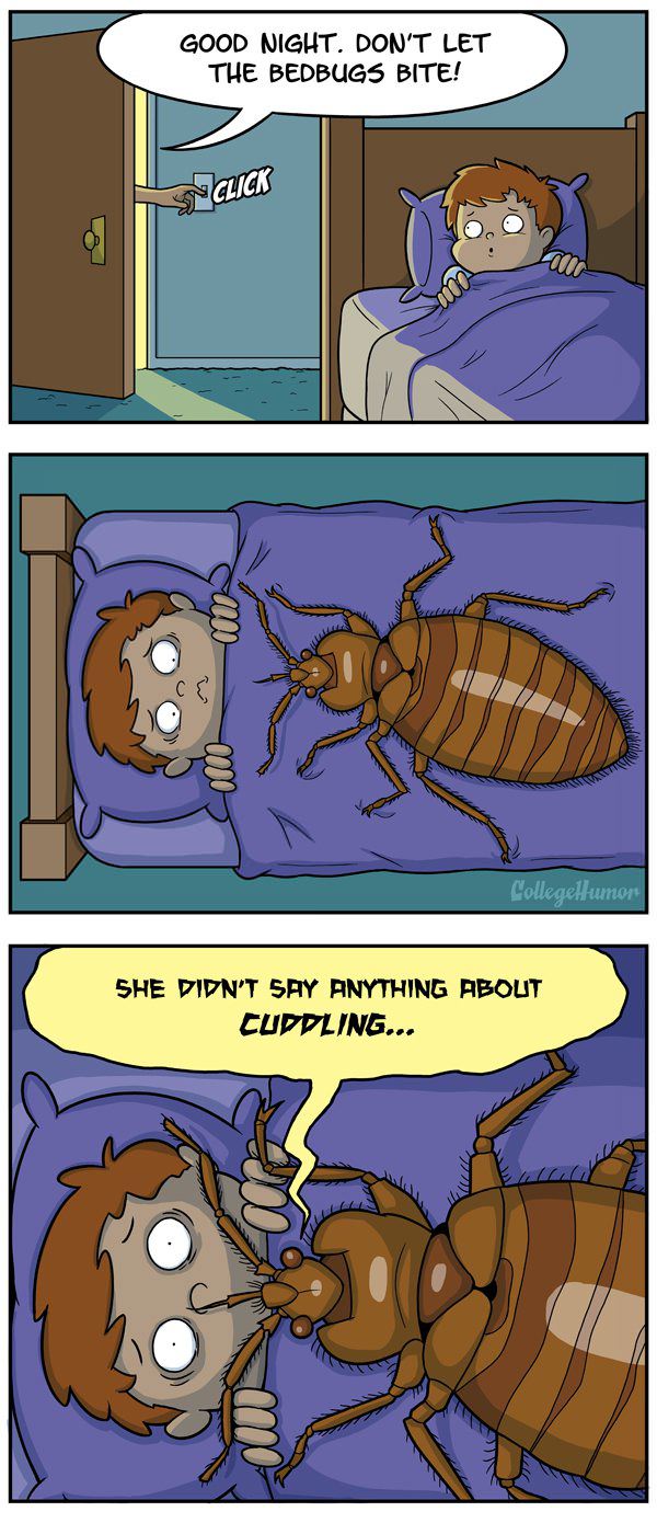don't let the bed bugs bite, comic