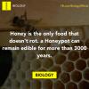 honey is the only food that doesn't rot, a honeypot can remain edible for more than 3000 years, biology facts, science