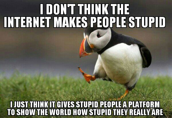 unpopular opinion puffin, i don't think the internet makes people look stupid, meme