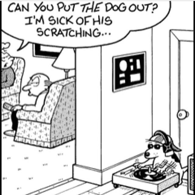 comic, dogs who scratch, lol, disc jockey