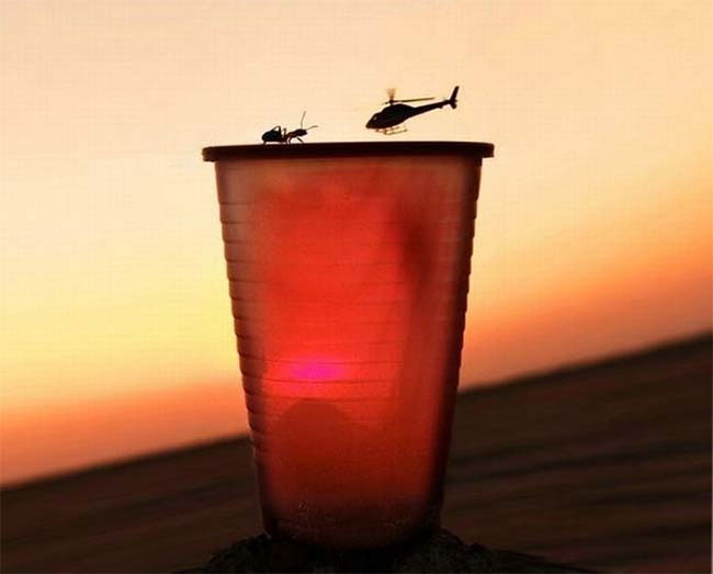 timing perspective, ant versus helicopter