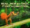 relax, we're all crazy, it's not a competition