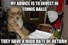 accountant dog meme, my advice is to invest in tennis balls, they have a high rate of return