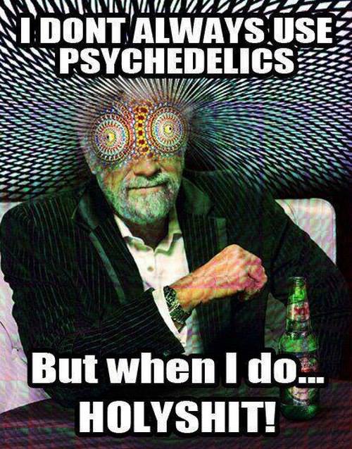 i don't always use psychedelics but when i do holyshit!, most interesting man, meme