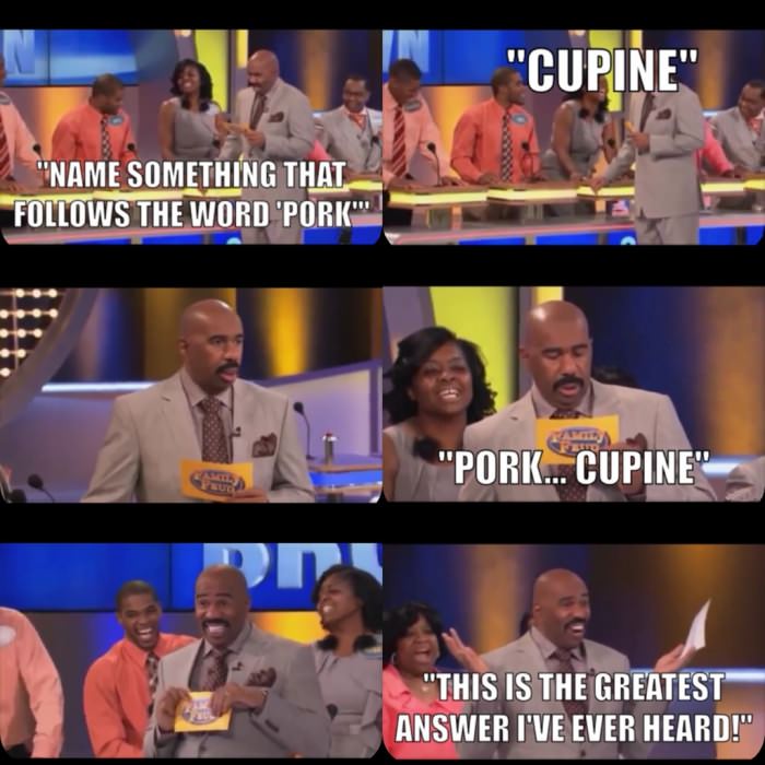 greatest answer ever, pork cupine, family feud